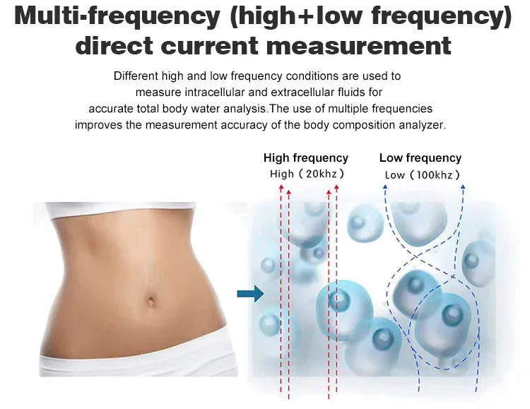 Digital Body Fat Analyzer Professional Measurement of Whole Body Fat Bmi Machine Scale Three Dimensional Recognition Body Compos
