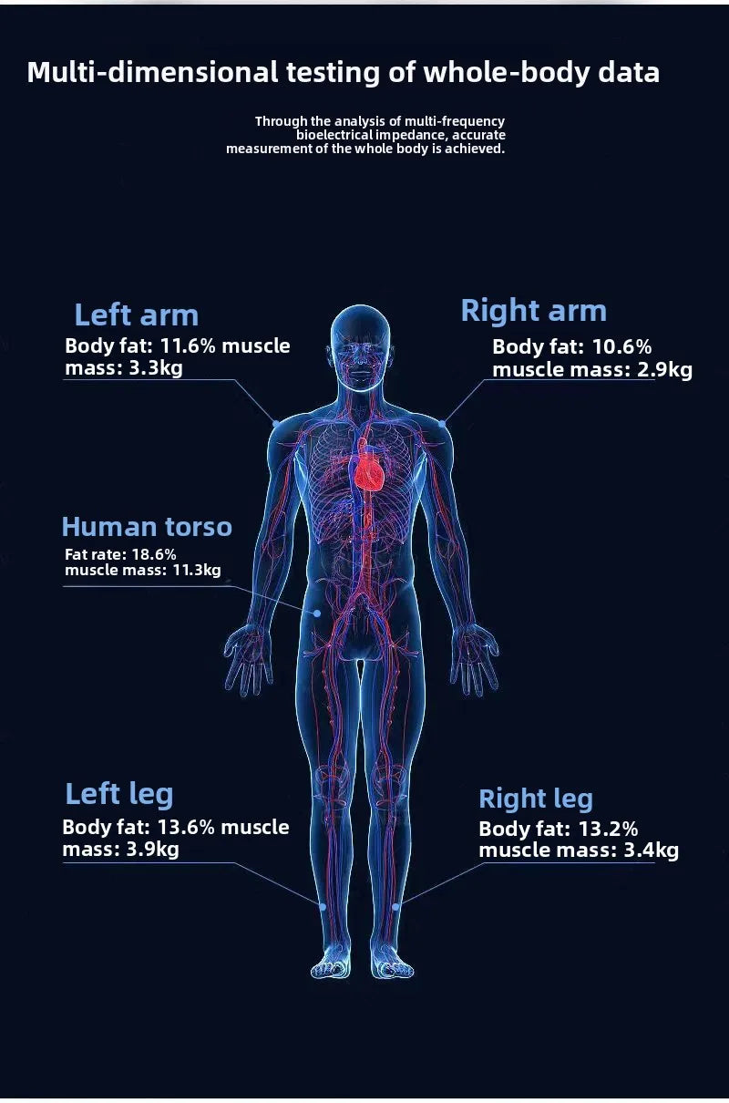 Digital Body Fat Analyzer Professional Measurement of Whole Body Fat Bmi Machine Scale Three Dimensional Recognition Body Compos