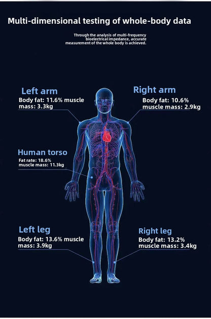 Digital Body Fat Analyzer Professional Measurement of Whole Body Fat Bmi Machine Scale Three Dimensional Recognition Body Compos