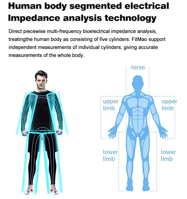 Digital Body Fat Analyzer Professional Measurement of Whole Body Fat Bmi Machine Scale Three Dimensional Recognition Body Compos