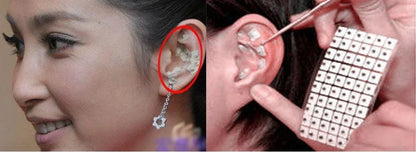 6000pcs Auriculotherapy Ear Seeds Stickers with Probe Tools 10 Packs Acupressure Relief Vaccaria Seeds Spring Massage Probe Kit