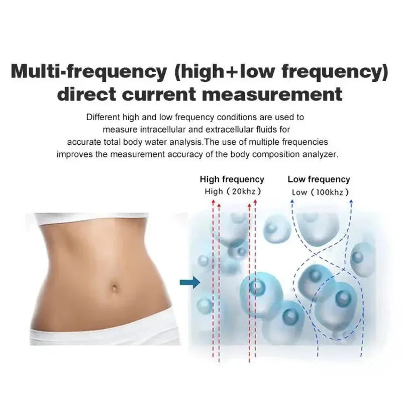Digital Body Fat Analyzer Professional Measurement of Whole Body Fat Bmi Machine Scale Three Dimensional Recognition Body Compos